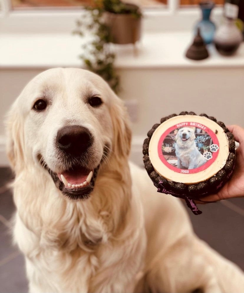 pet treats