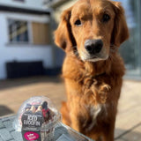 dog friendly treats