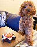 dog cake